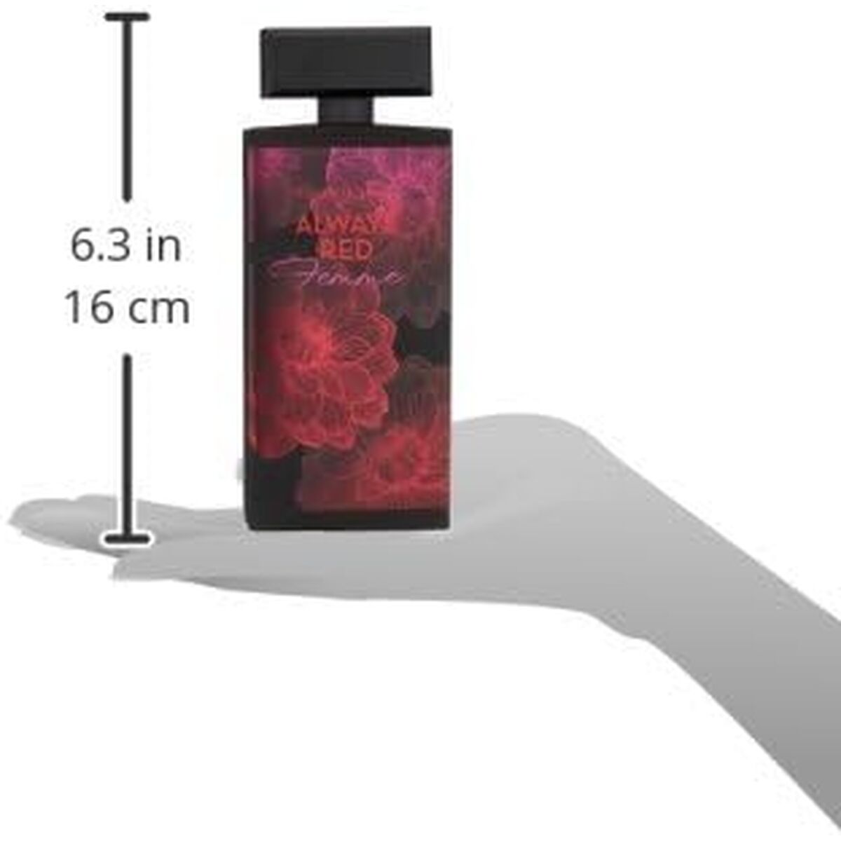 V2H422CF979722BC5E47042ED54C4604CE7R7744348P6