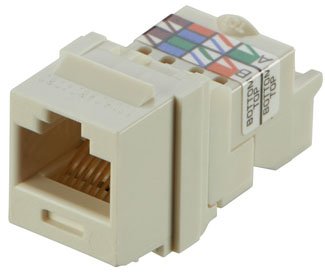 Panduit NK6TMIW Módulo Connector Network