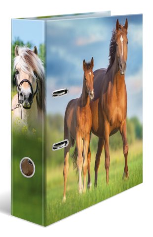 Herma Ring Binder A4 Cartón Pferd — image 1
