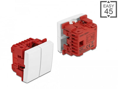 Delock Switch Easy 45 2 Ganchos, 1 Polo And 1VÍA 45 X 45MM, White — image 1