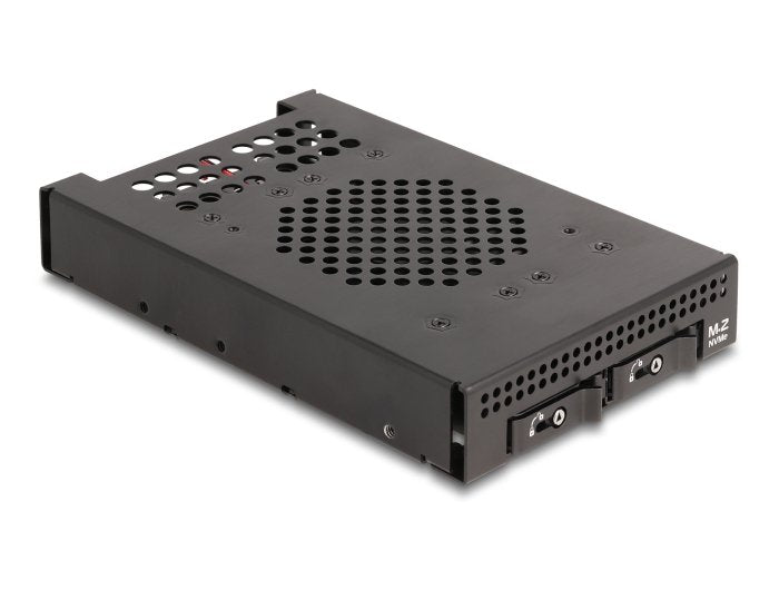 Delock 47070 Rack Mobile Phone 3.5 2 X SSD M.2 NVMe With Connector Oculink SFF-8612 Slim