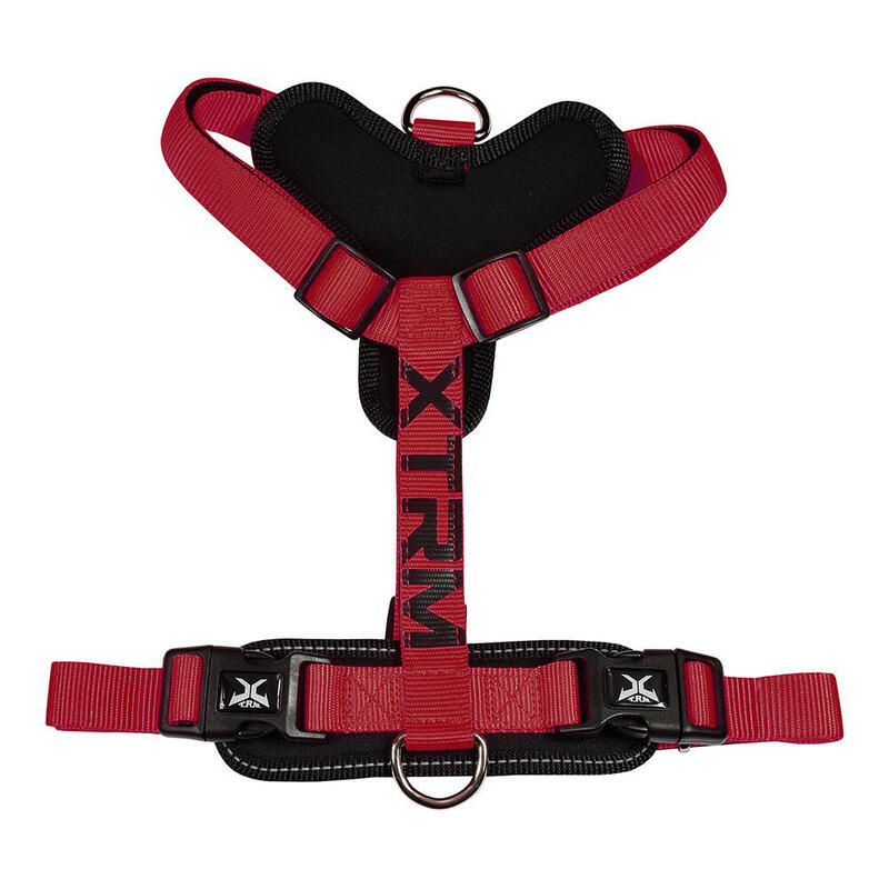 Arnés X-trm Cronos Neon Flash Red/Black T-m 20MM X 46-75CM