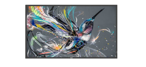 Philips Monitor 86 86BDL3511Q/00 Q-line 86 Q-line, 18/7, 4K Uhd, Basic Failover, — image 1