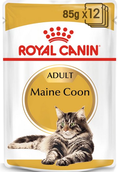Royal Canin Fbn Maine Coon 12X85 G