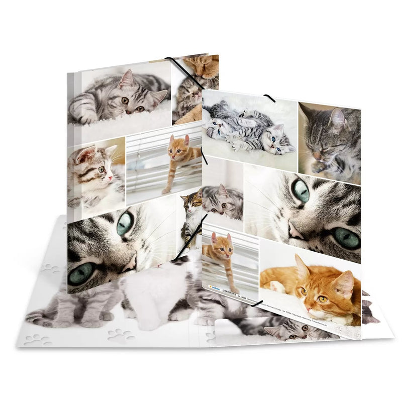 Herma Folder Cartón A4 Gatos