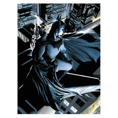 Poster Glass Batman DC Comics — image 1
